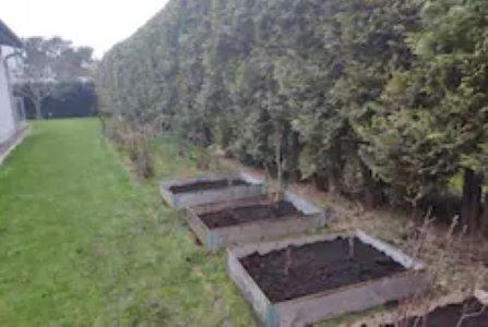 Gaesthus, 45m2, Lugnt, Havsbad